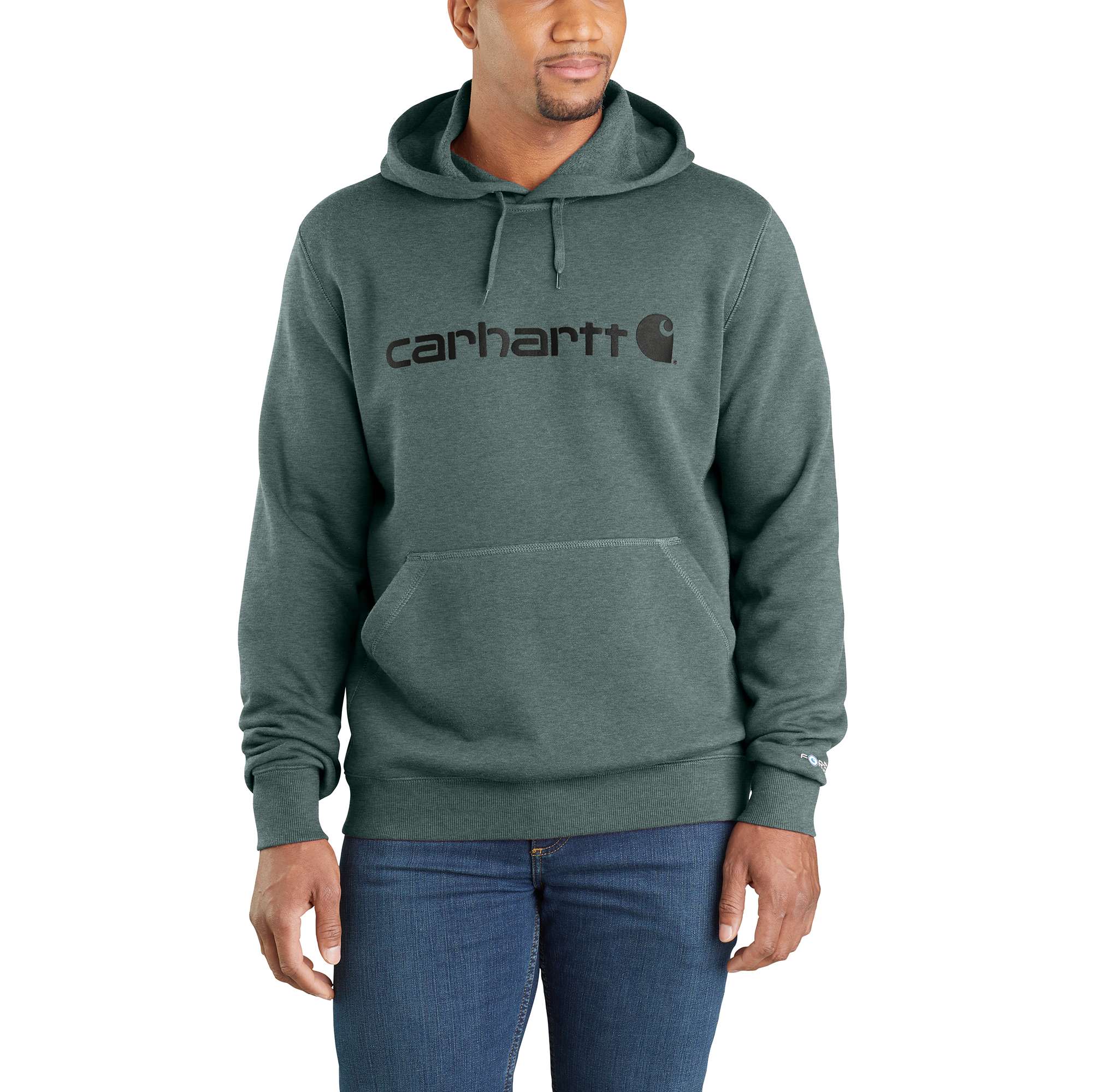 Carhartt ForceĀ® Delmont Signature Graphic Hooded Sweatshirt