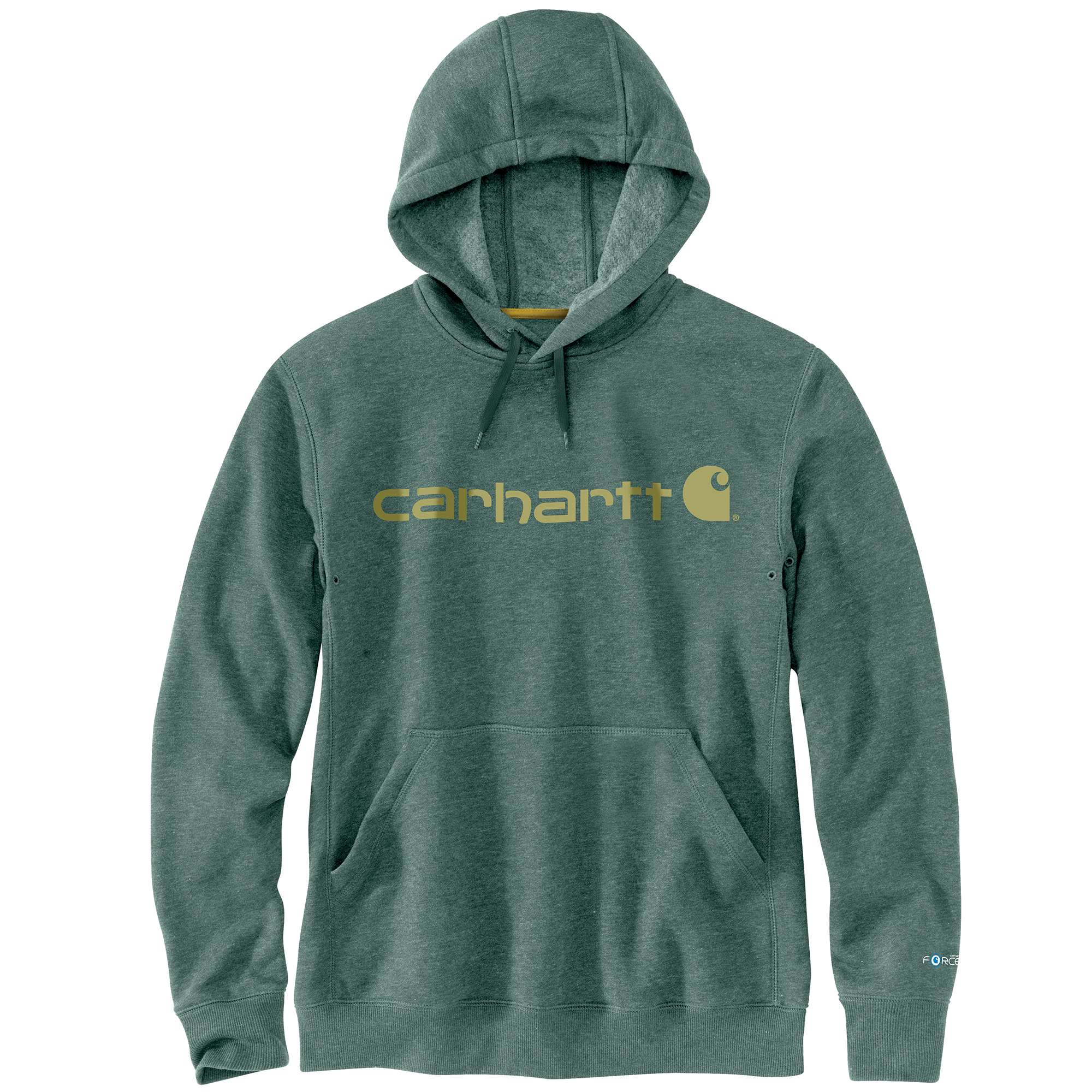 Carhartt ForceĀ® Delmont Signature Graphic Hooded Sweatshirt