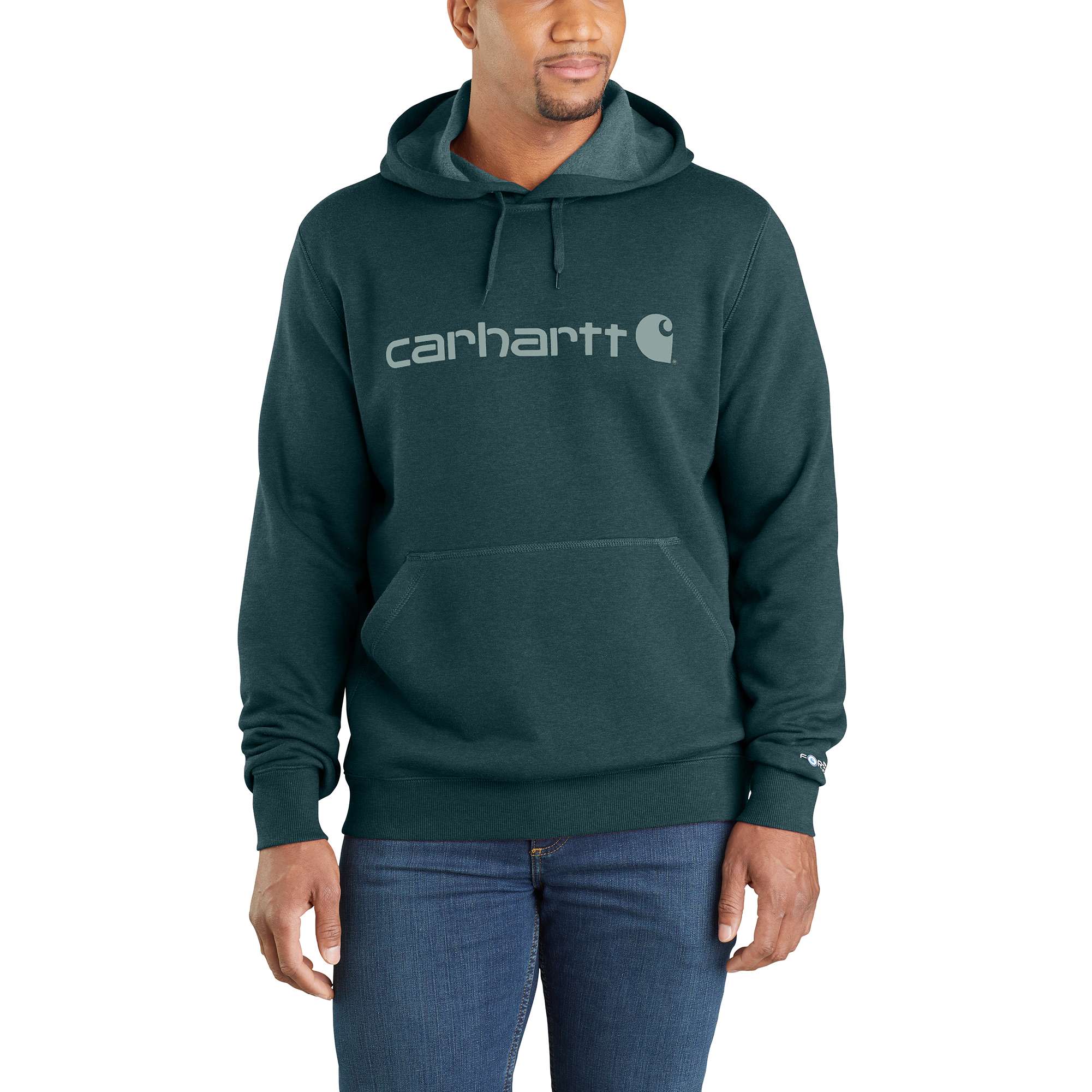 Carhartt ForceĀ® Delmont Signature Graphic Hooded Sweatshirt
