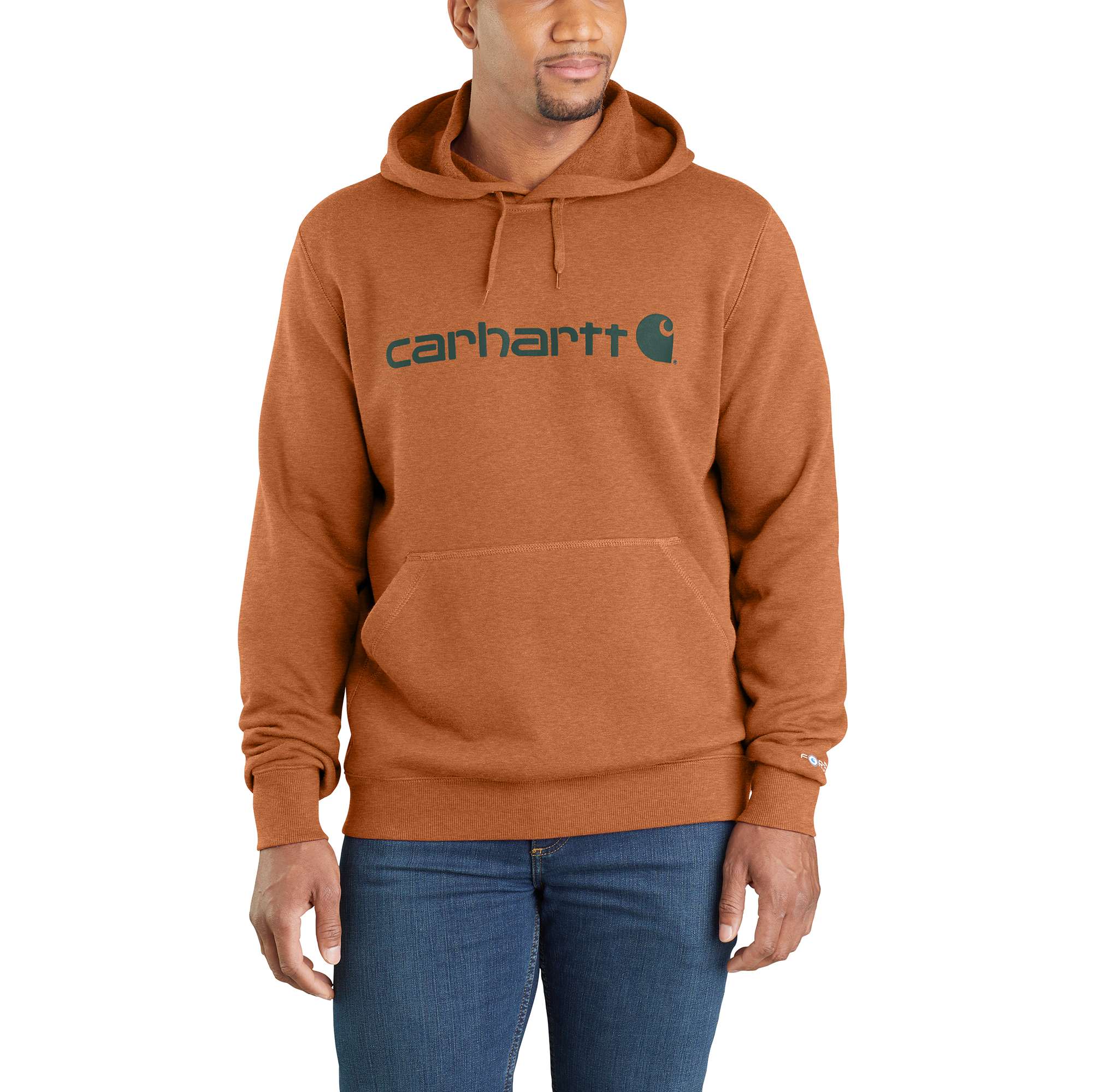 Carhartt ForceĀ® Delmont Signature Graphic Hooded Sweatshirt